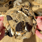 Oreo S'mores NYC Cookies Recipe