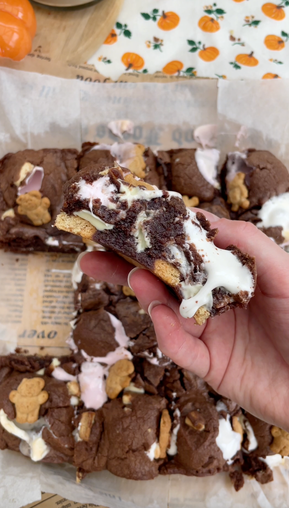 Chocolate S'mores Cookie Bars Recipe