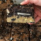 Oreo Baked Goods Bundle